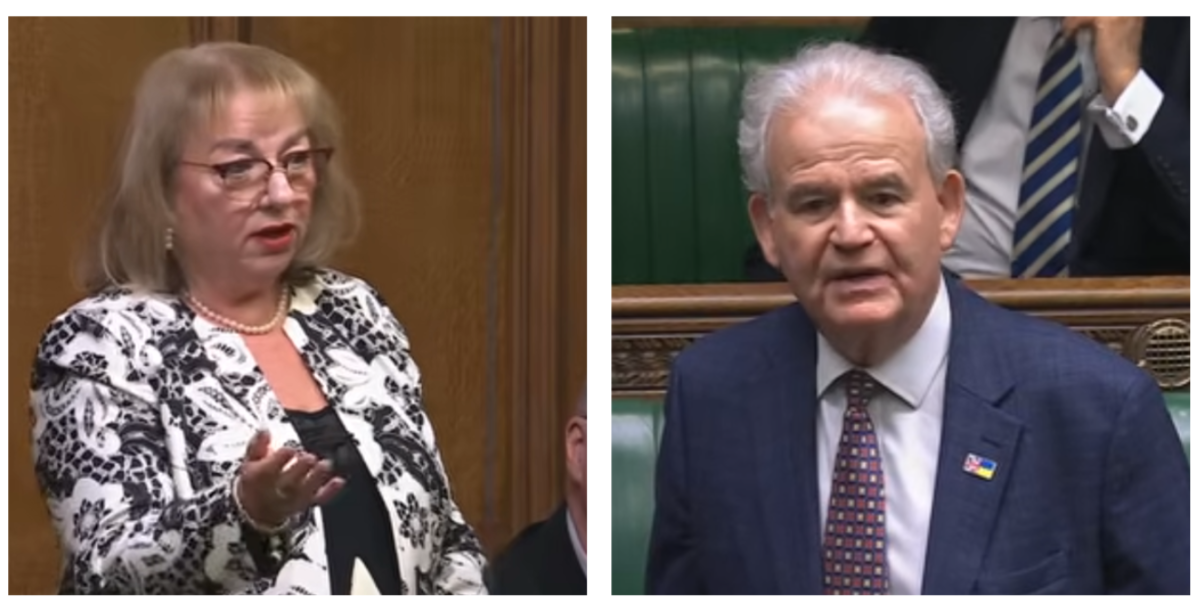MPs, Sharon Hodgson and Sir Julian Lewis raised questions in the House of Commons